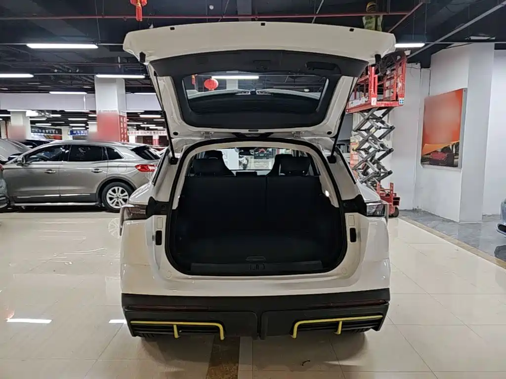 Jetour Dasheng — миниатюра 19