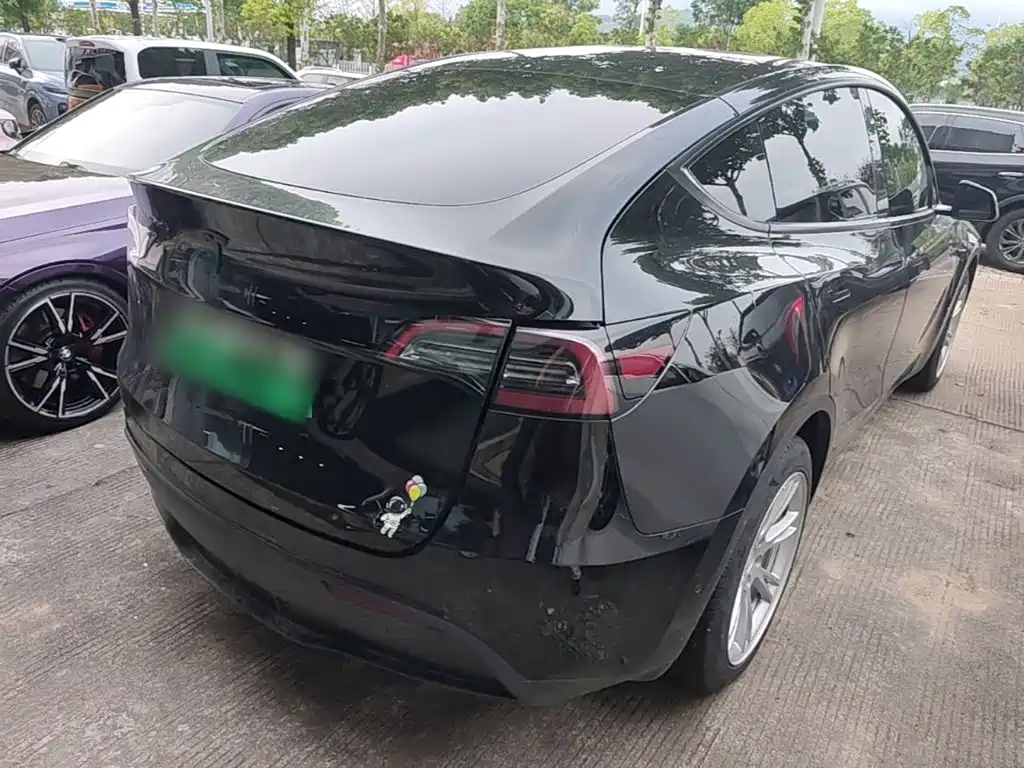 Tesla Model Y — миниатюра 7