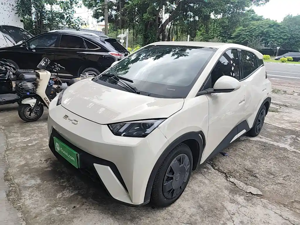 BYD Seagull