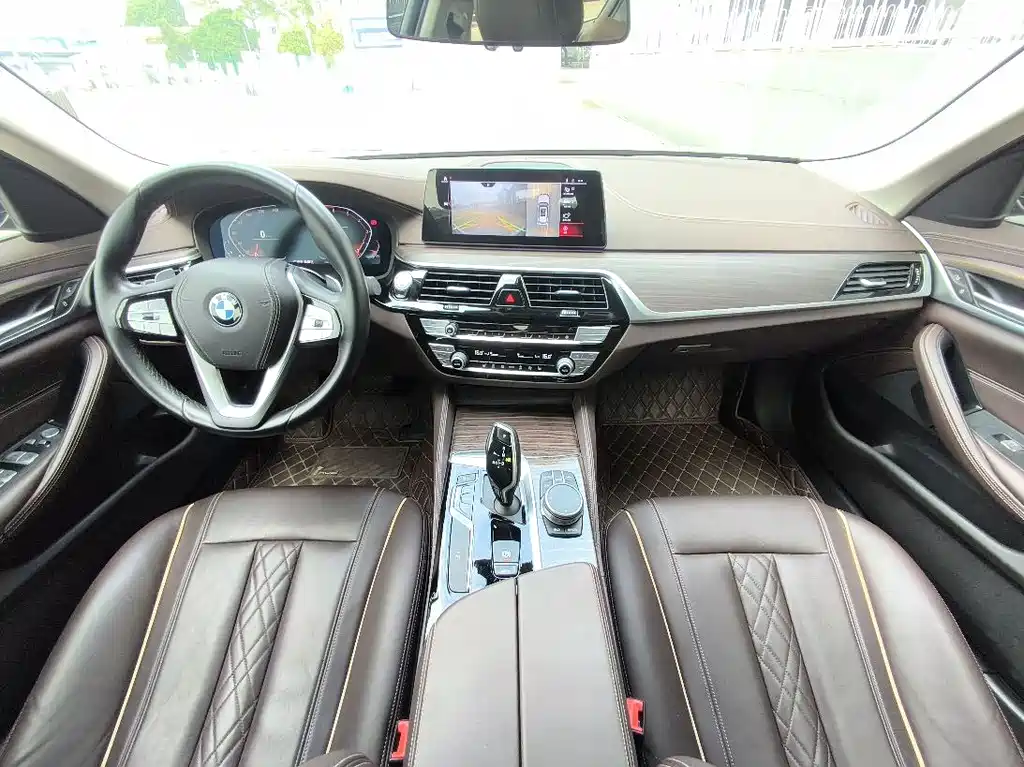 BMW 5 Series 5 2020 530Li Lead Luxury