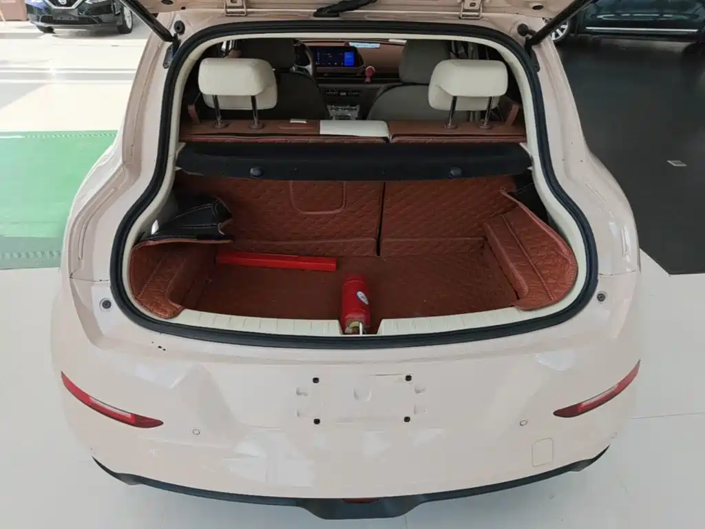 Ora Ora Good Cat GT — миниатюра 19