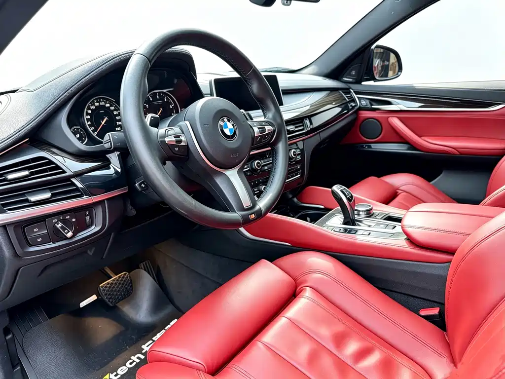 BMW X6 — миниатюра 12