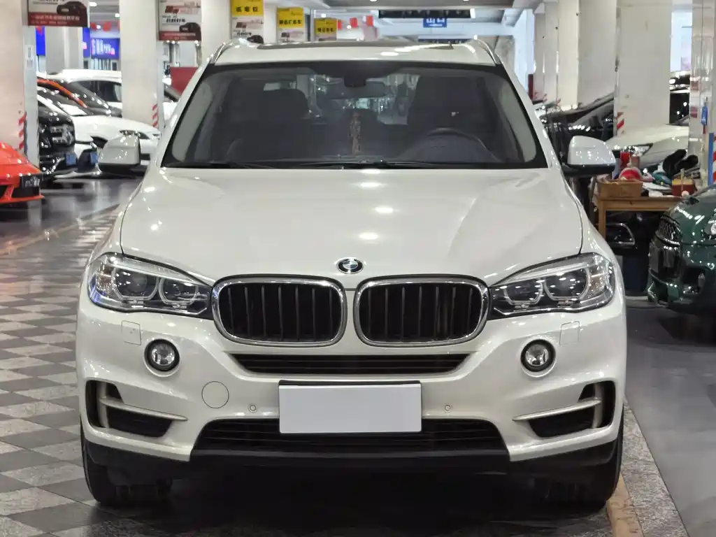 BMW X5 (Import) — миниатюра 2