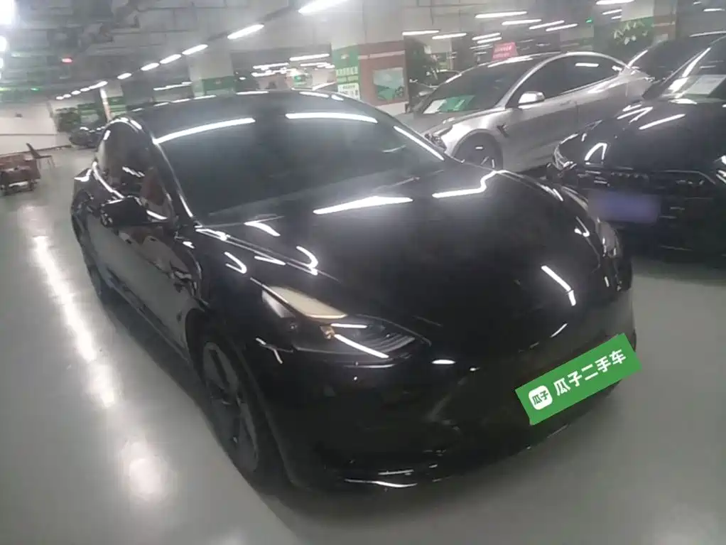 Tesla Model 3 — миниатюра 4