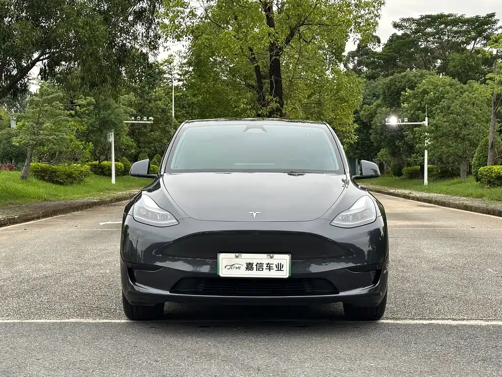 Tesla Model Y — миниатюра 2