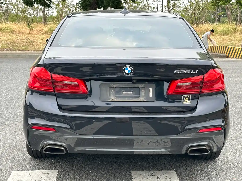 BMW 5 Series — миниатюра 4