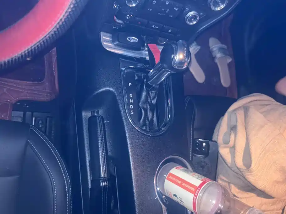 Ford Mustang — миниатюра 16