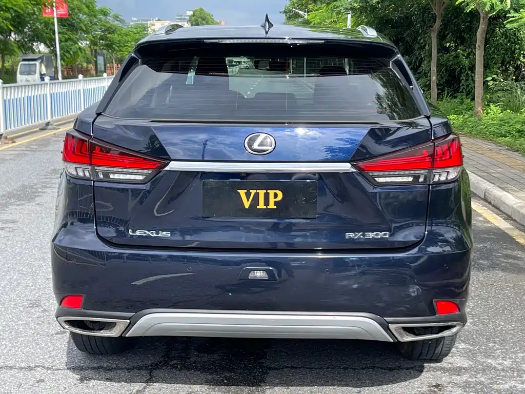 Lexus RX 2020 300 Elite