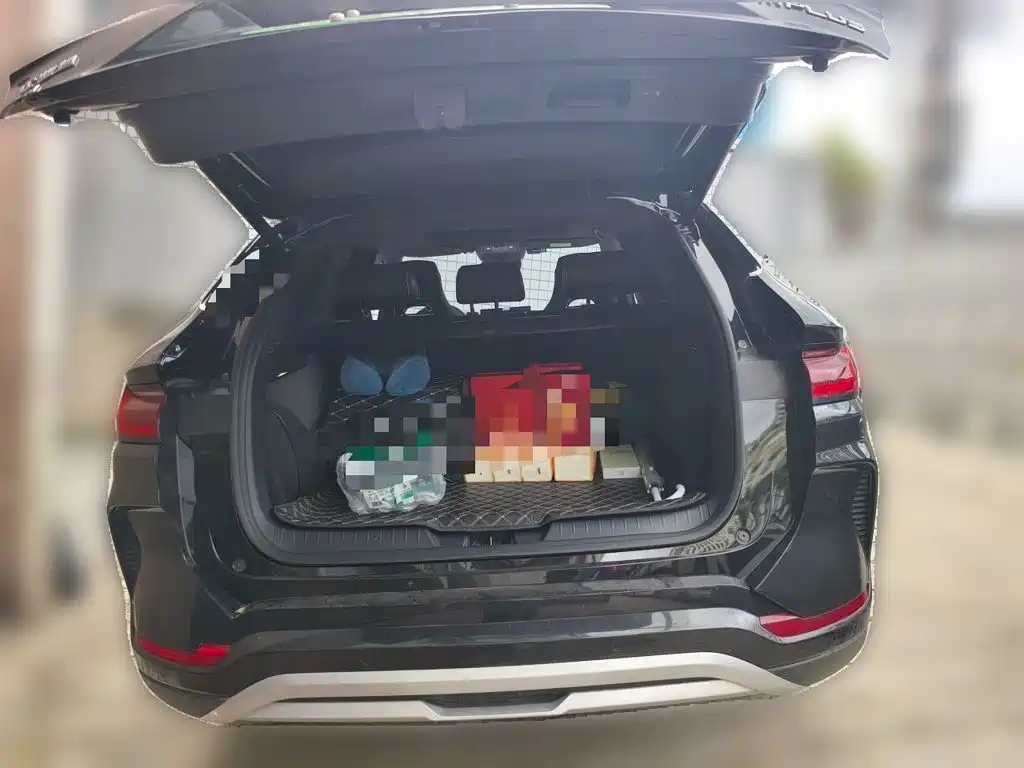 BYD PLUS New Energy — миниатюра 20