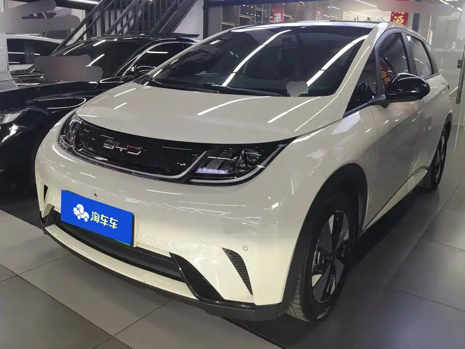 2023 BYD Dolphin - zdjęcie 1 z 16