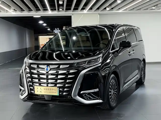 2024 Denza D9
