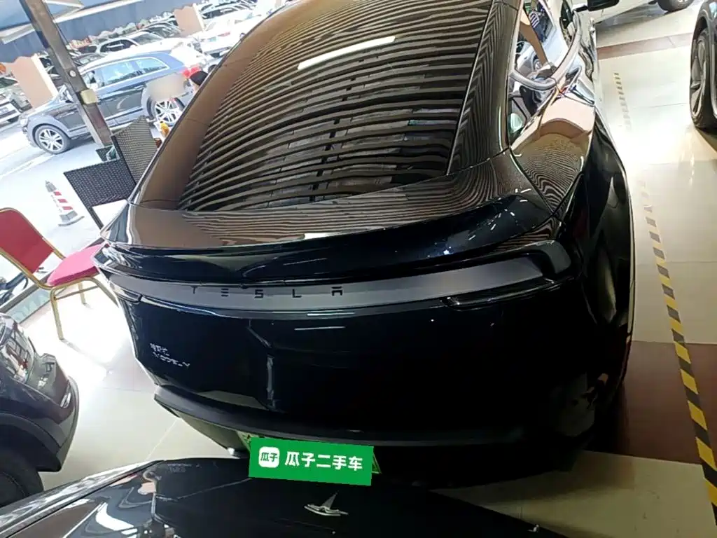 Tesla Model Y — миниатюра 6