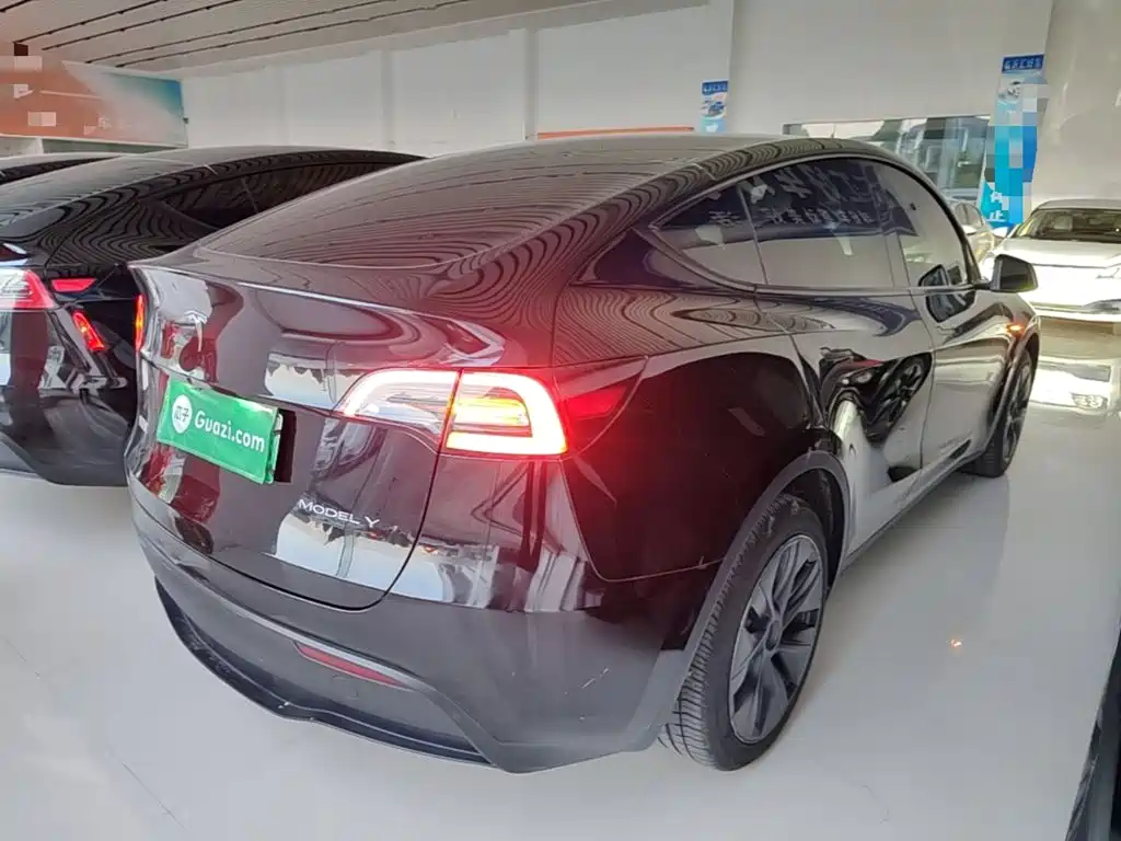 Tesla Model Y — миниатюра 7