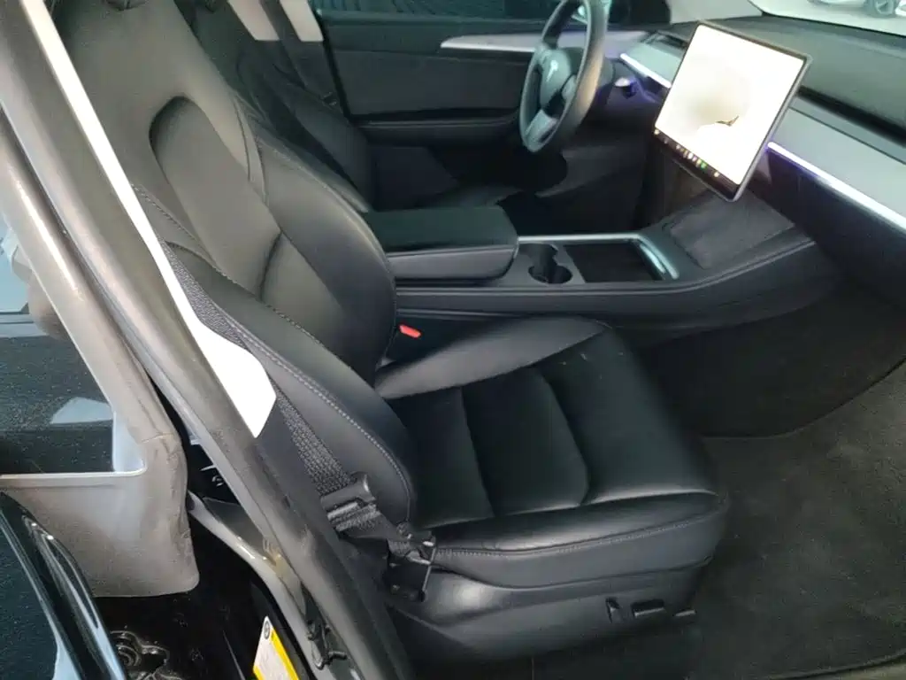 Tesla Model Y — миниатюра 25