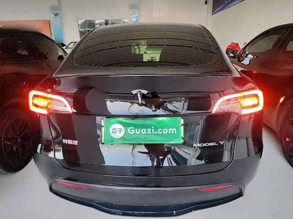 Tesla Model Y — миниатюра 6