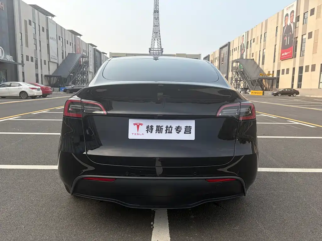Tesla Model Y — миниатюра 5