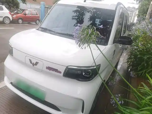 2025 Wuling Motors Sunshine