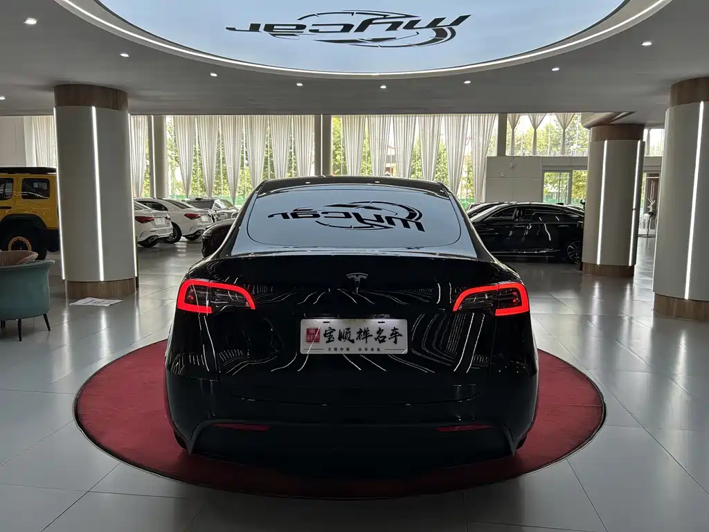 Tesla Model Y — миниатюра 6