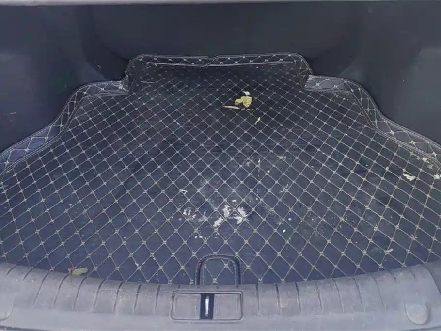 GEELY AUTOMOBILE BINRUI