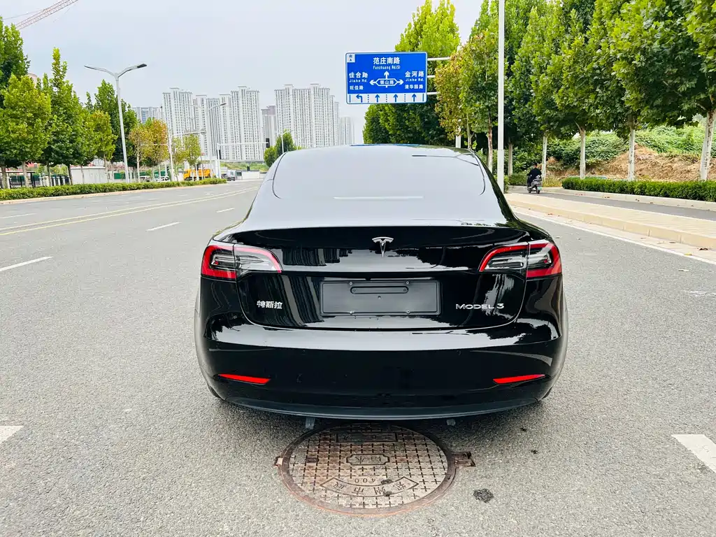Tesla Model 3 — миниатюра 9