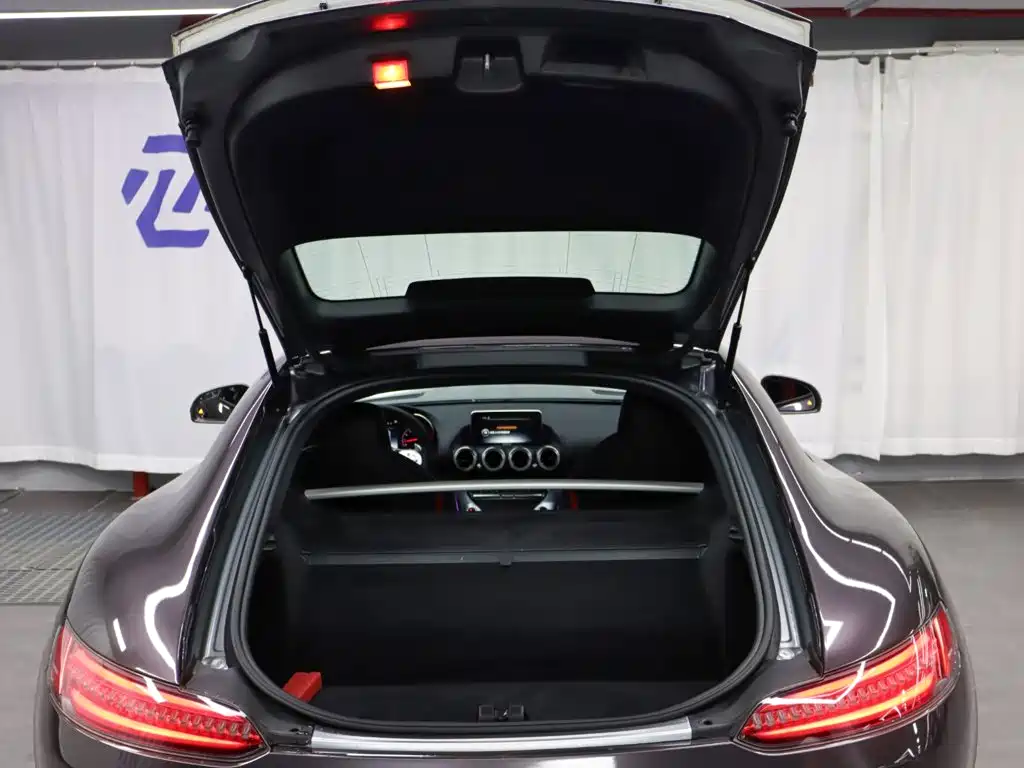 Mercedes-Benz AMG GT — миниатюра 29