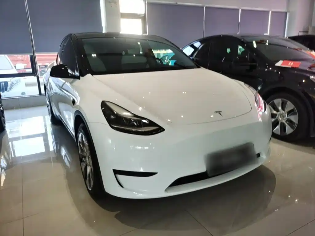 Tesla Model Y — миниатюра 4