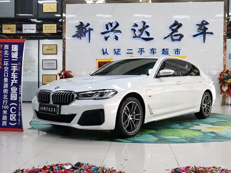 BMW 5 Series New Energy 2023