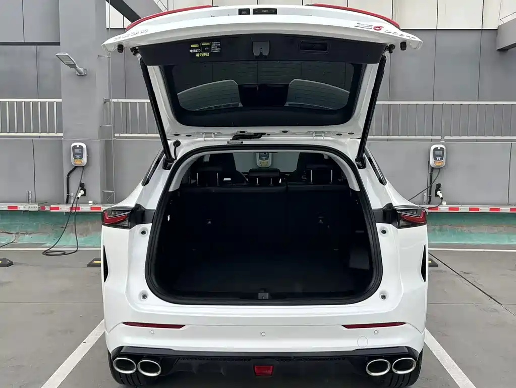 Oshan Oushang Z6 — миниатюра 10
