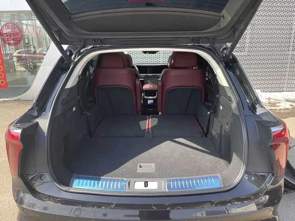 Hongqi E-HS9 2022 690km мест