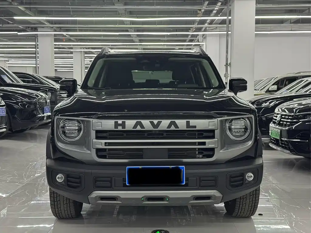 Haval Big Dog 2025