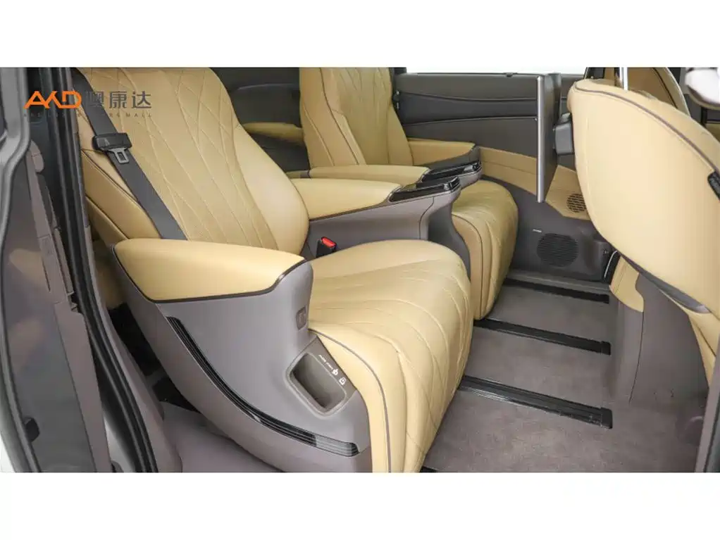 Denza Denza D9 — миниатюра 8