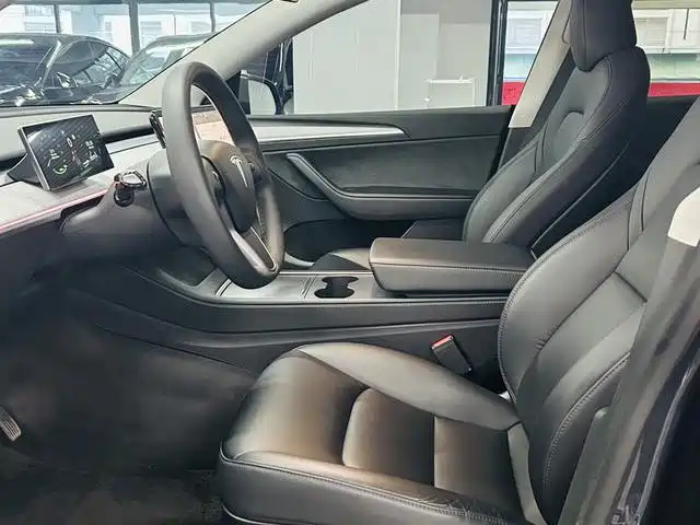 Tesla Model Y — миниатюра 5