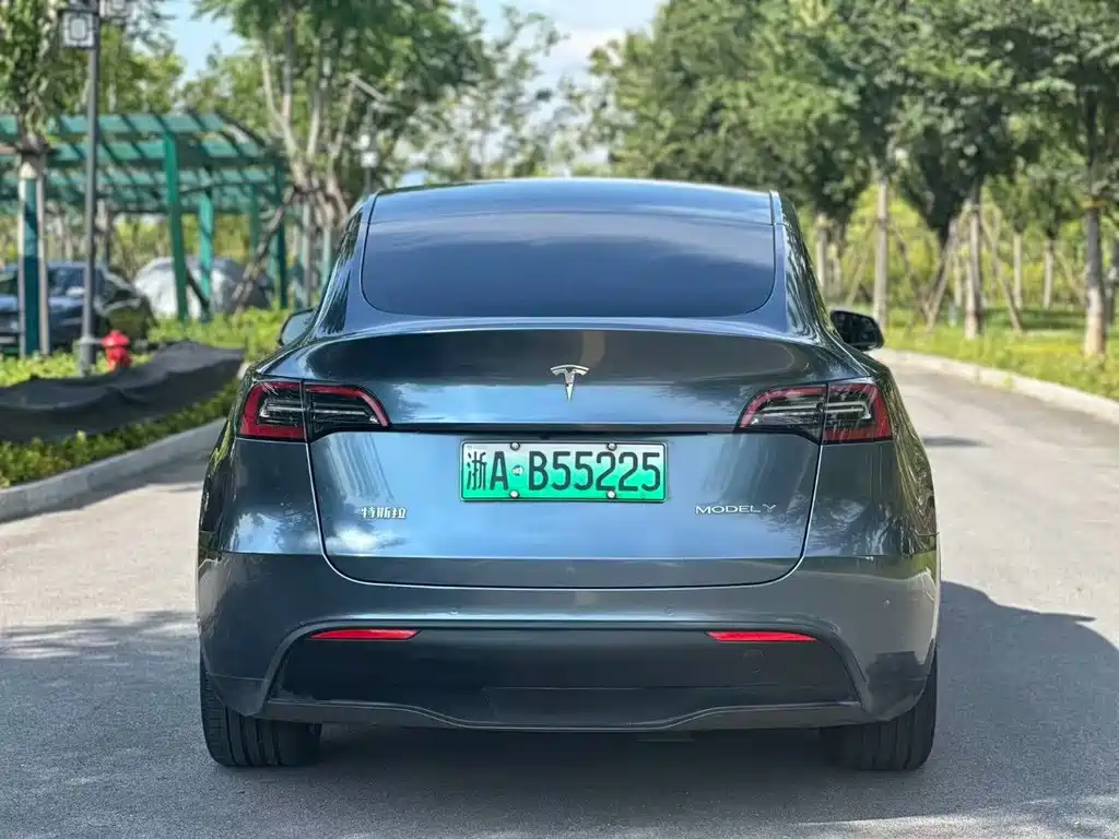 Tesla Model Y — миниатюра 5