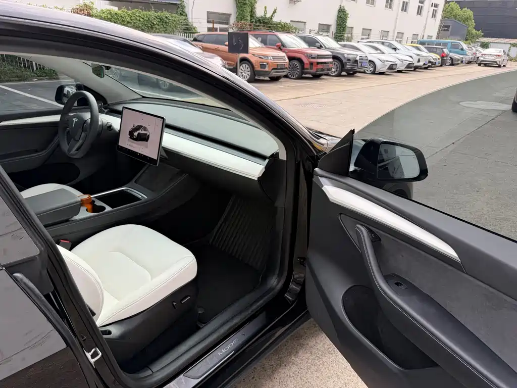 Tesla Model Y — миниатюра 6