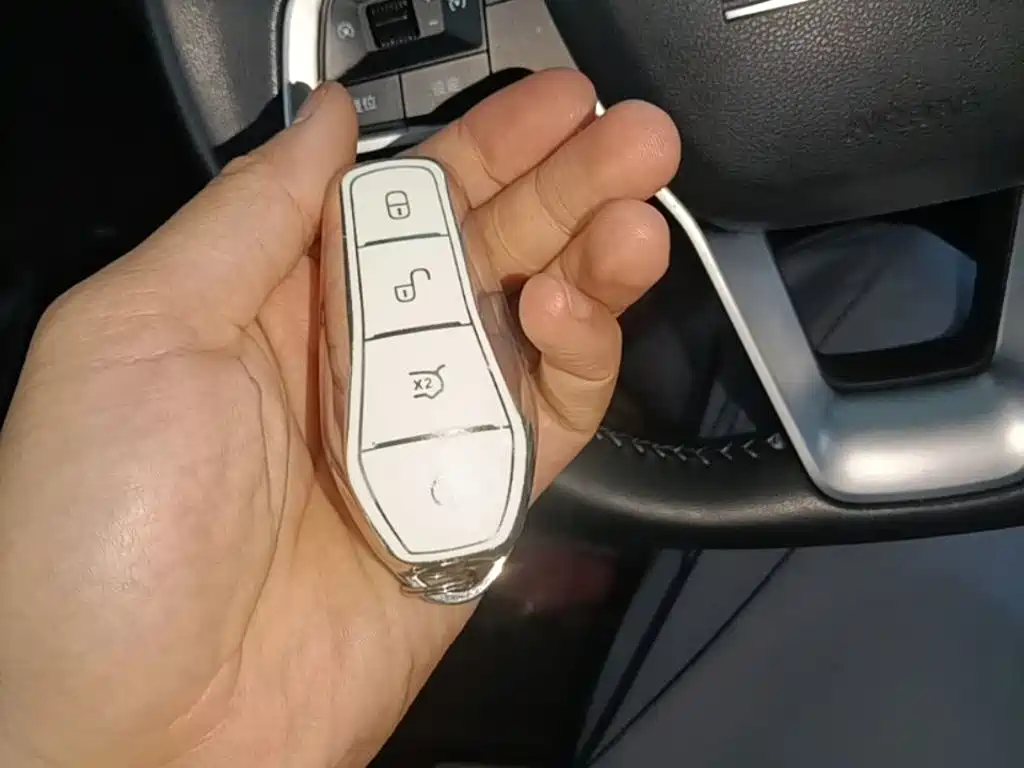 BYD Destroyer 05 2024 DM-i 55KM Luxury