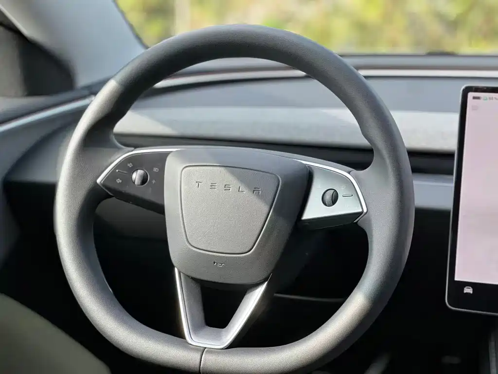 Tesla Model 3 — миниатюра 17