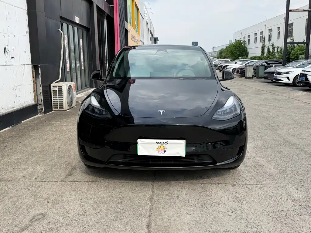 Tesla Model Y — миниатюра 2