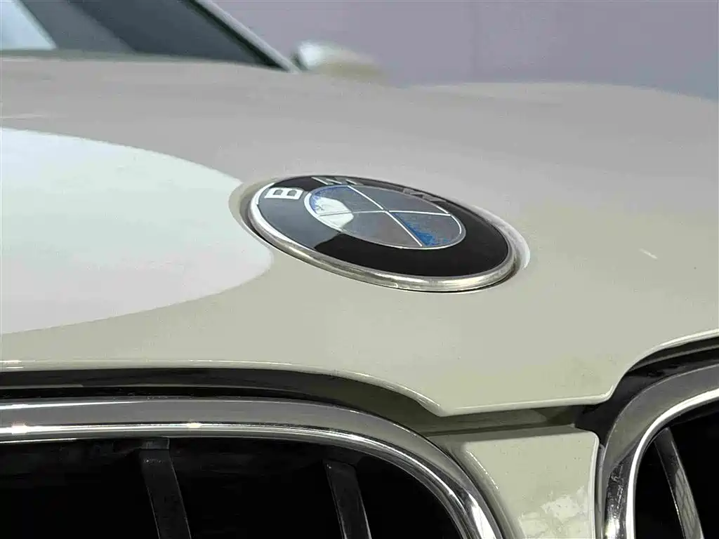 BMW X4 — миниатюра 5