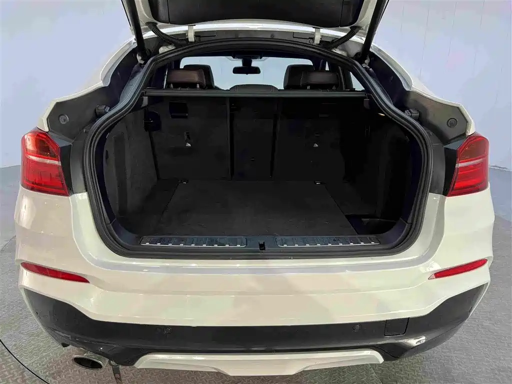 BMW X4 — миниатюра 20