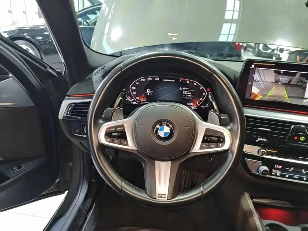 BMW 5 Series (Import) — миниатюра 11