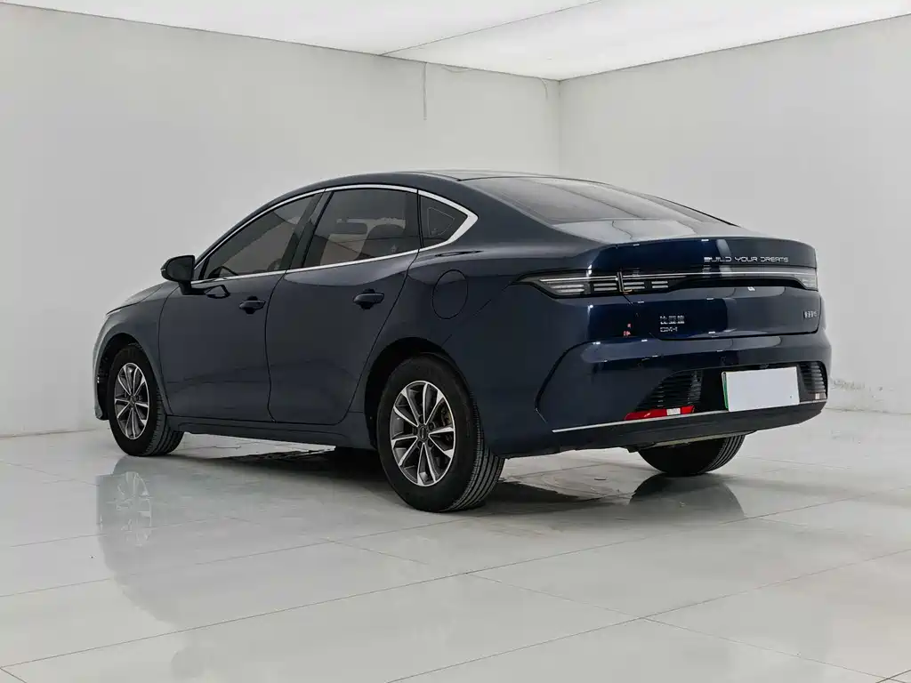 BYD Destroyer 05 2024 DM-i 55KM Luxury