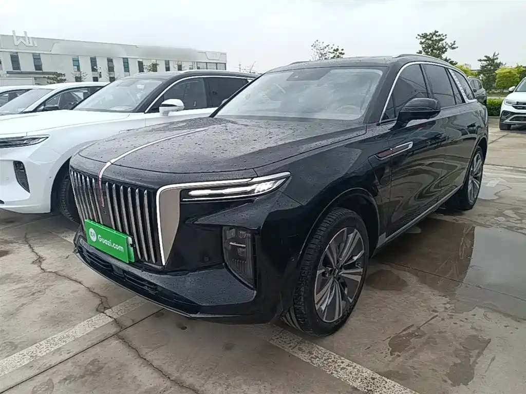 Hongqi E-HS9 2021 460km мест
