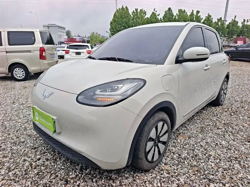 Wuling Bingo 2024
