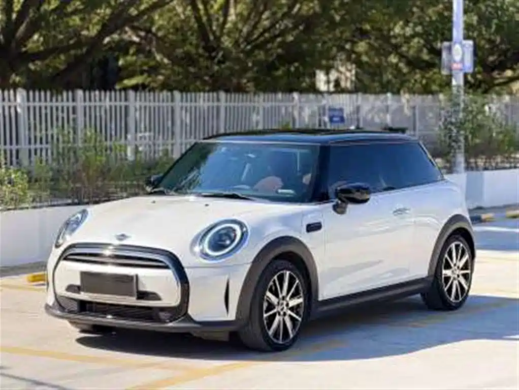 Mini Mini 2023
