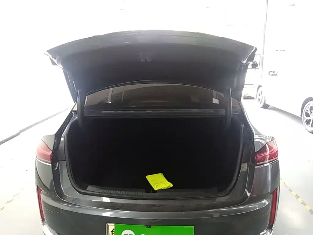 Roewe Wing Wai M7 DMH — миниатюра 15