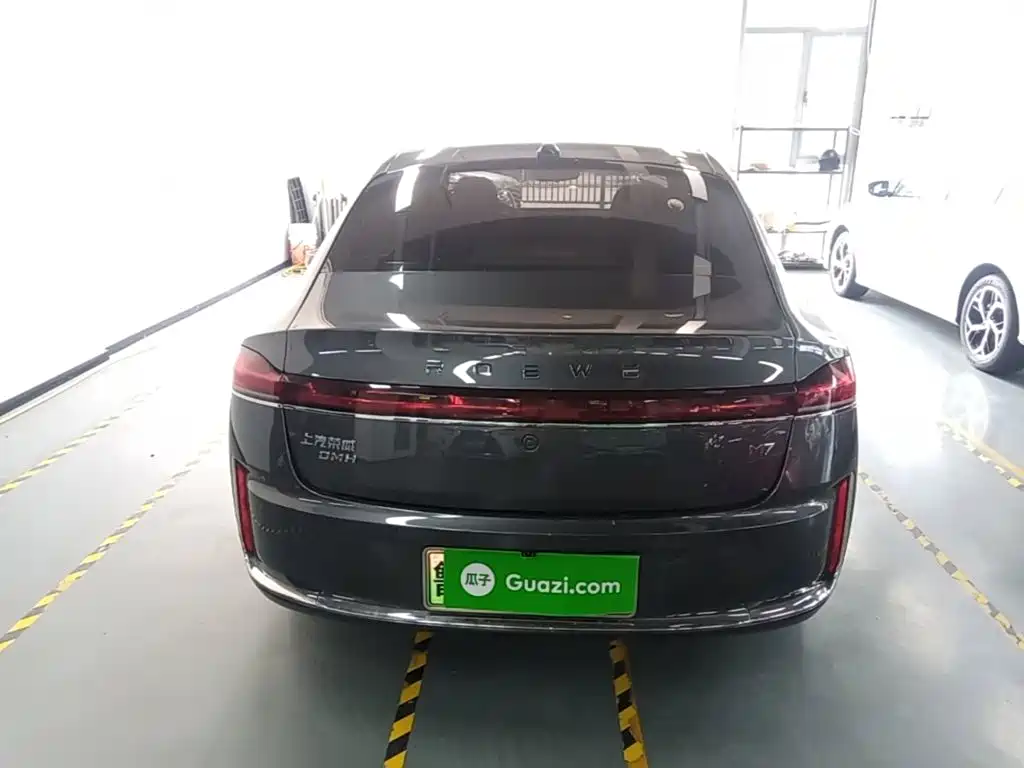 Roewe Wing Wai M7 DMH — миниатюра 4