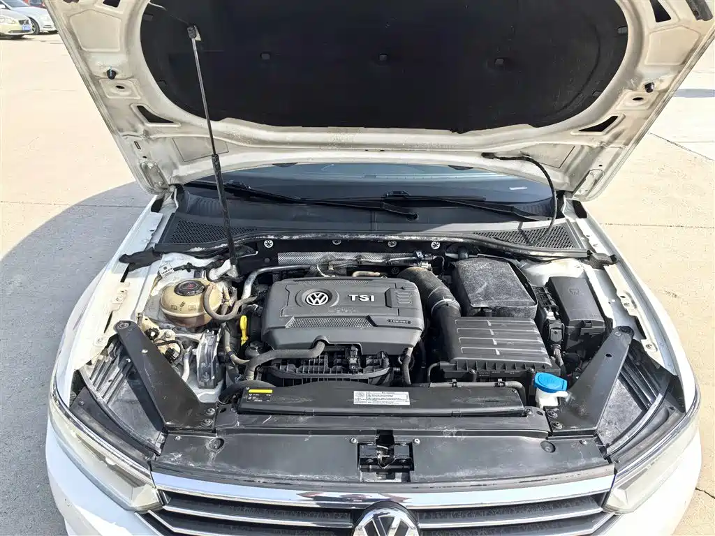 Volkswagen Magotan 2017 380TSI DSG Luxury