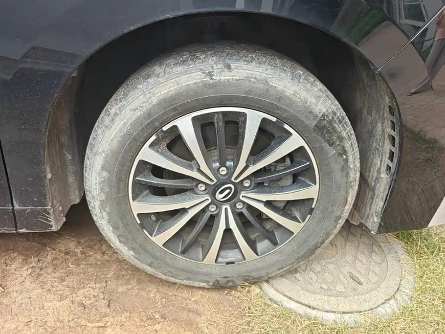 GAC Motor Trumpchi M8 — миниатюра 6