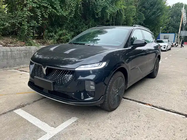 VOYAH LAN TU ZHIYIN 2024