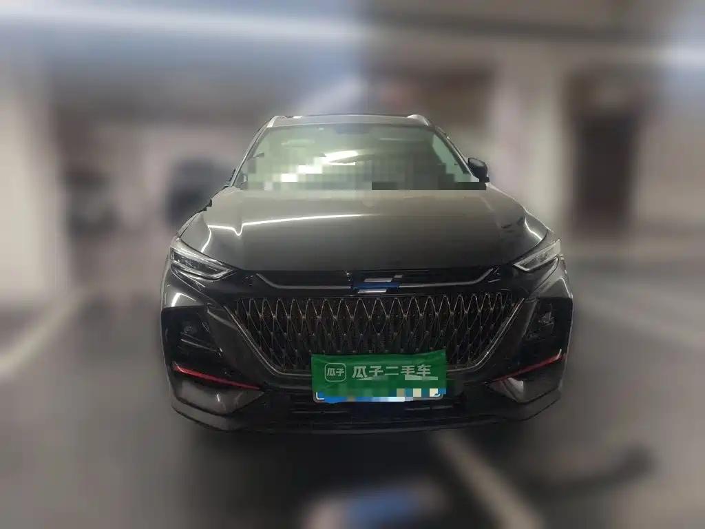 Oshan Oushang X7 PLUS — миниатюра 24